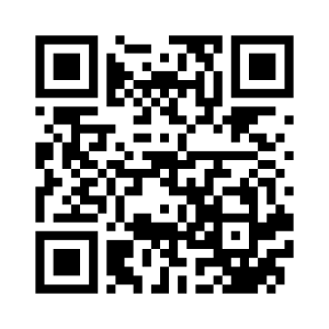 Generador de Códigos QR Codes