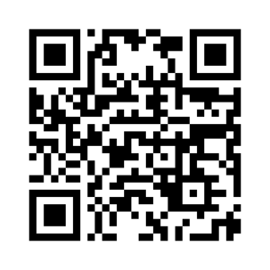 Generador de Códigos QR Codes